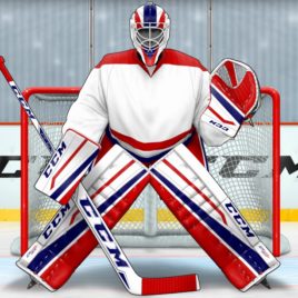 custom reebok goalie gear